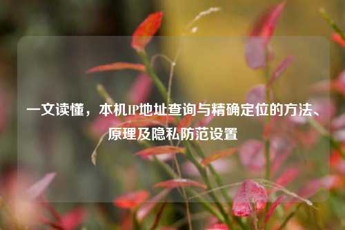 一文读懂,本机IP地址查询与精确定位的方法、原理及隐私防范设置
