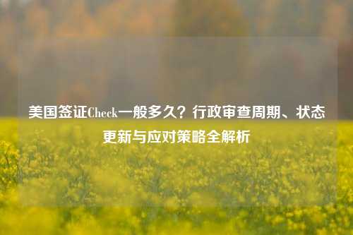 美国签证Check一般多久？行政审查周期、状态更新与应对策略全解析