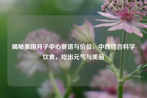揭秘美国月子中心餐谱与价位，中西结合科学饮食，吃出元气与美丽