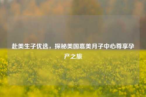 赴美生子优选，探秘美国嘉美月子中心尊享孕产之旅