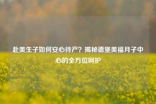 赴美生子如何安心待产？揭秘德堡美福月子中心的全方位呵护