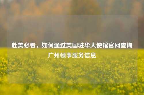 赴美必看,如何通过美国驻华大使馆官网查询广州领事服务信息