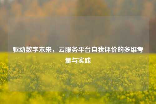 驱动数字未来，云服务平台自我评价的多维考量与实践