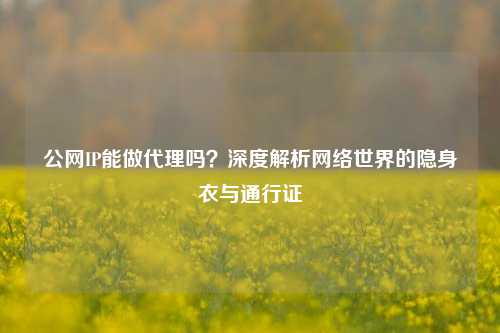 公网IP能做代理吗?深度解析网络世界的隐身衣与通行证