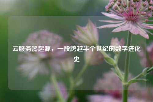 云服务器起源,一段跨越半个世纪的数字进化史