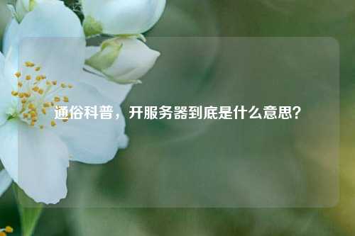 通俗科普,开服务器到底是什么意思?