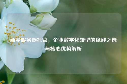 新乡服务器托管,企业数字化转型的稳健之选与核心优势解析