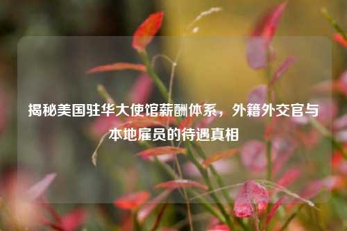 揭秘美国驻华大使馆薪酬体系，外籍外交官与本地雇员的待遇真相