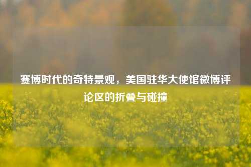 赛博时代的奇特景观,美国驻华大使馆微博评论区的折叠与碰撞