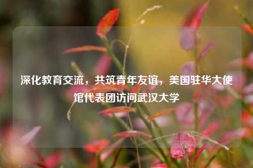 深化教育交流,共筑青年友谊,美国驻华大使馆代表团访问武汉大学