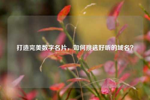 打造完美数字名片,如何挑选好听的域名?