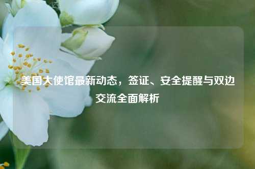 美国大使馆最新动态，签证、安全提醒与双边交流全面解析