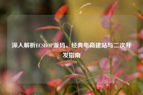 深入解析ECSHOP源码,经典电商建站与二次开发指南