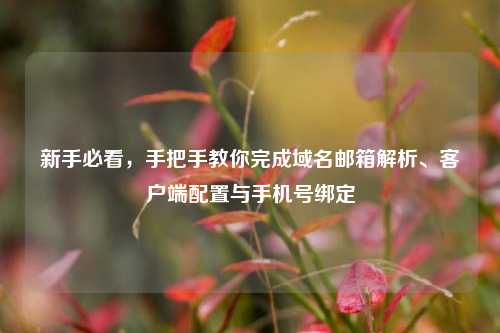 新手必看,手把手教你完成域名邮箱解析、客户端配置与手机号绑定