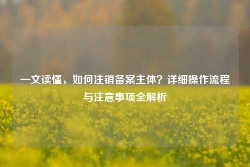 一文读懂,如何注销备案主体?详细操作流程与注意事项全解析