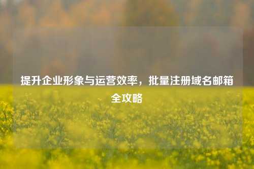 提升企业形象与运营效率，批量注册域名邮箱全攻略
