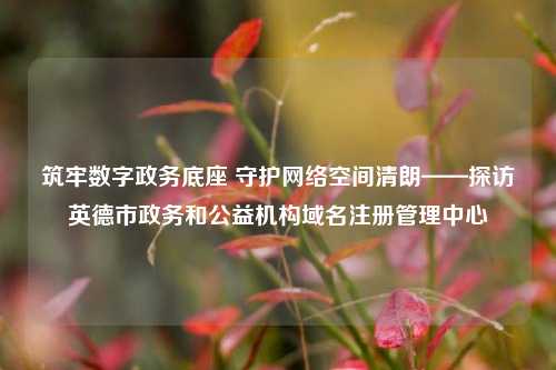 筑牢数字政务底座 守护网络空间清朗——探访英德市政务和公益机构域名注册管理中心