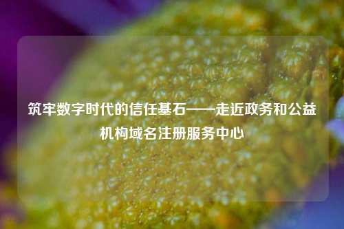 筑牢数字时代的信任基石——走近政务和公益机构域名注册服务中心