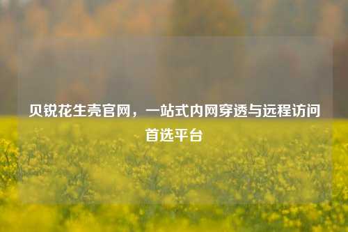 贝锐花生壳官网,一站式内网穿透与远程访问首选平台