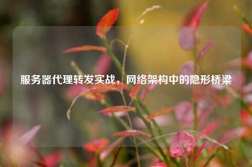 服务器代理转发实战,网络架构中的隐形桥梁