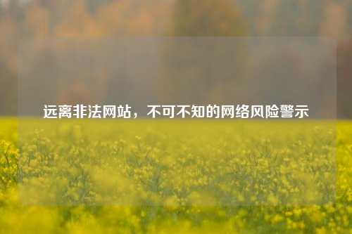 远离非法网站,不可不知的网络风险警示