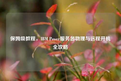 保姆级教程,IBM Power服务器物理与远程开机全攻略