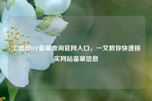 工信部ICP备案查询官网入口,一文教你快速核实网站备案信息