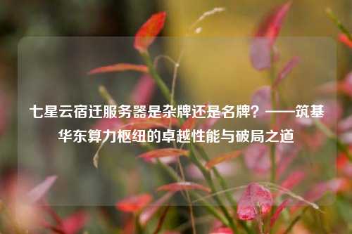 七星云宿迁服务器是杂牌还是名牌?——筑基华东算力枢纽的卓越性能与破局之道