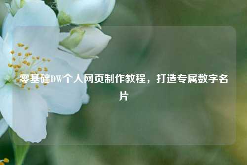 零基础DW个人网页制作教程,打造专属数字名片