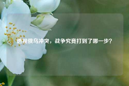 透视俄乌冲突,战争究竟打到了哪一步?