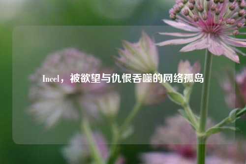 Incel,被欲望与仇恨吞噬的网络孤岛