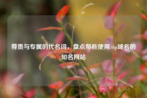 尊贵与专属的代名词，盘点那些使用.vip域名的知名网站