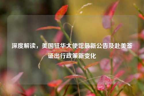深度解读，美国驻华大使馆最新公告及赴美签证出行政策新变化