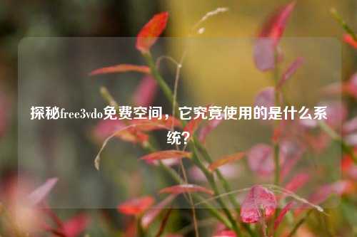 探秘free3vdo免费空间，它究竟使用的是什么系统？