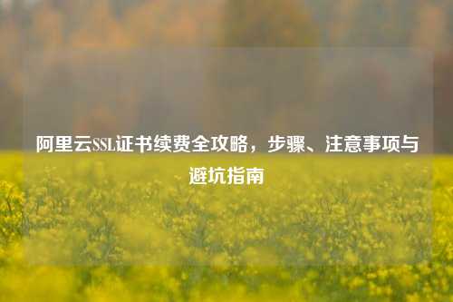 阿里云SSL证书续费全攻略,步骤、注意事项与避坑指南