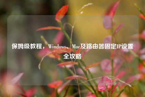 保姆级教程,Windows、Mac及路由器固定IP设置全攻略