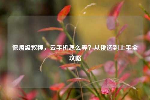 保姆级教程,云手机怎么弄?从挑选到上手全攻略