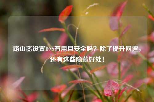 路由器设置DNS有用且安全吗?除了提升网速,还有这些隐藏好处!
