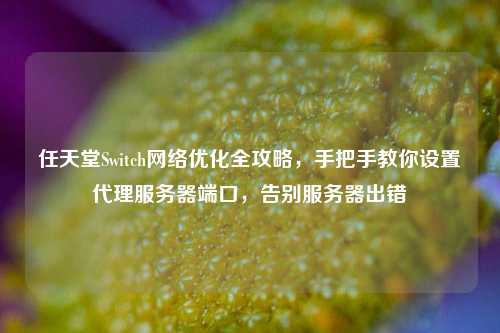 任天堂Switch网络优化全攻略,手把手教你设置代理服务器端口,告别服务器出错