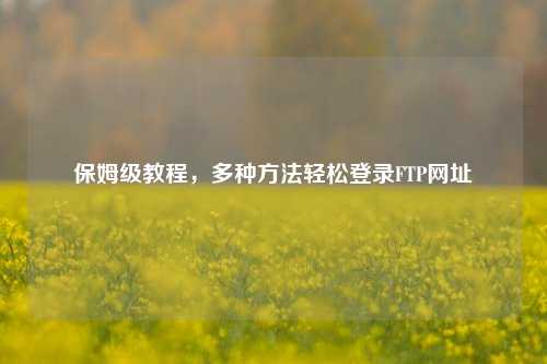 保姆级教程，多种方法轻松登录FTP网址