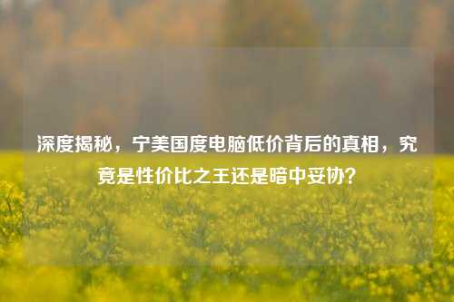 深度揭秘，宁美国度电脑低价背后的真相，究竟是性价比之王还是暗中妥协？