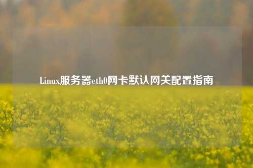 Linux服务器eth0网卡默认网关配置指南