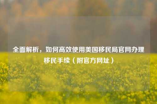 全面解析,如何高效使用美国移民局官网办理移民手续(附官方网址)