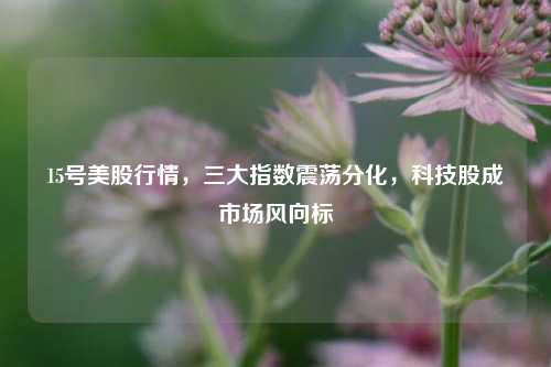 15号美股行情，三大指数震荡分化，科技股成市场风向标