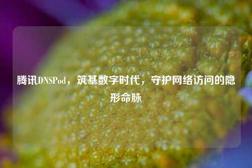 腾讯DNSPod,筑基数字时代,守护网络访问的隐形命脉