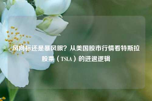 风向标还是暴风眼？从美国股市行情看特斯拉股票（TSLA）的进退逻辑