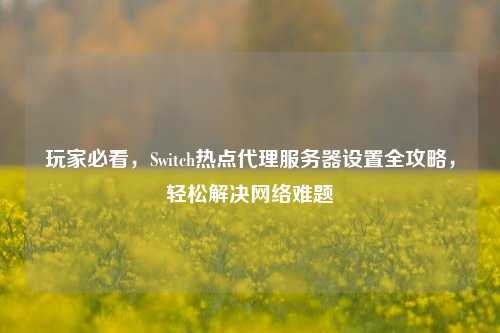 玩家必看，Switch热点代理服务器设置全攻略，轻松解决网络难题