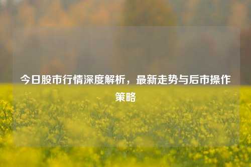 今日股市行情深度解析,最新走势与后市操作策略