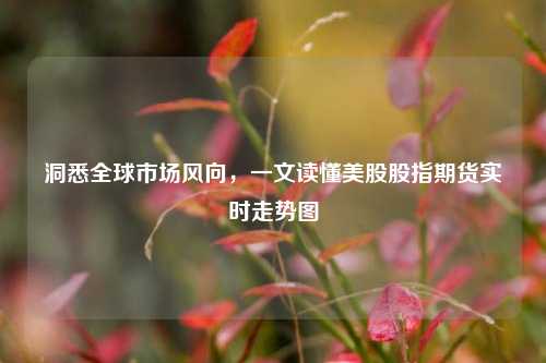 洞悉全球市场风向,一文读懂美股股指期货实时走势图
