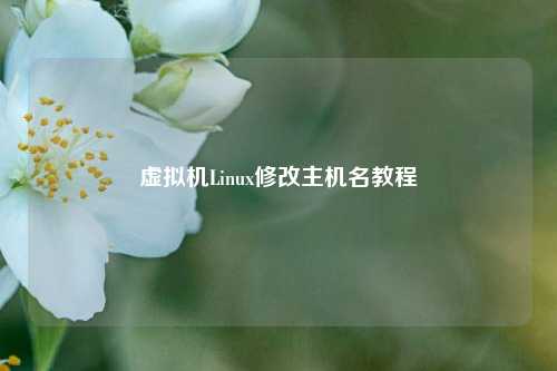 虚拟机Linux修改主机名教程